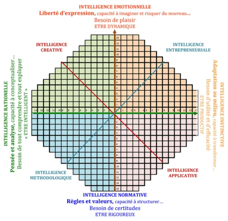 Diagramme de l'analyse de la personnalité professionnelle représentant 4 types d'intelligence: émotionnelle, créative, rationnelle, normative, chacune avec des caractéristiques et besoins associés.